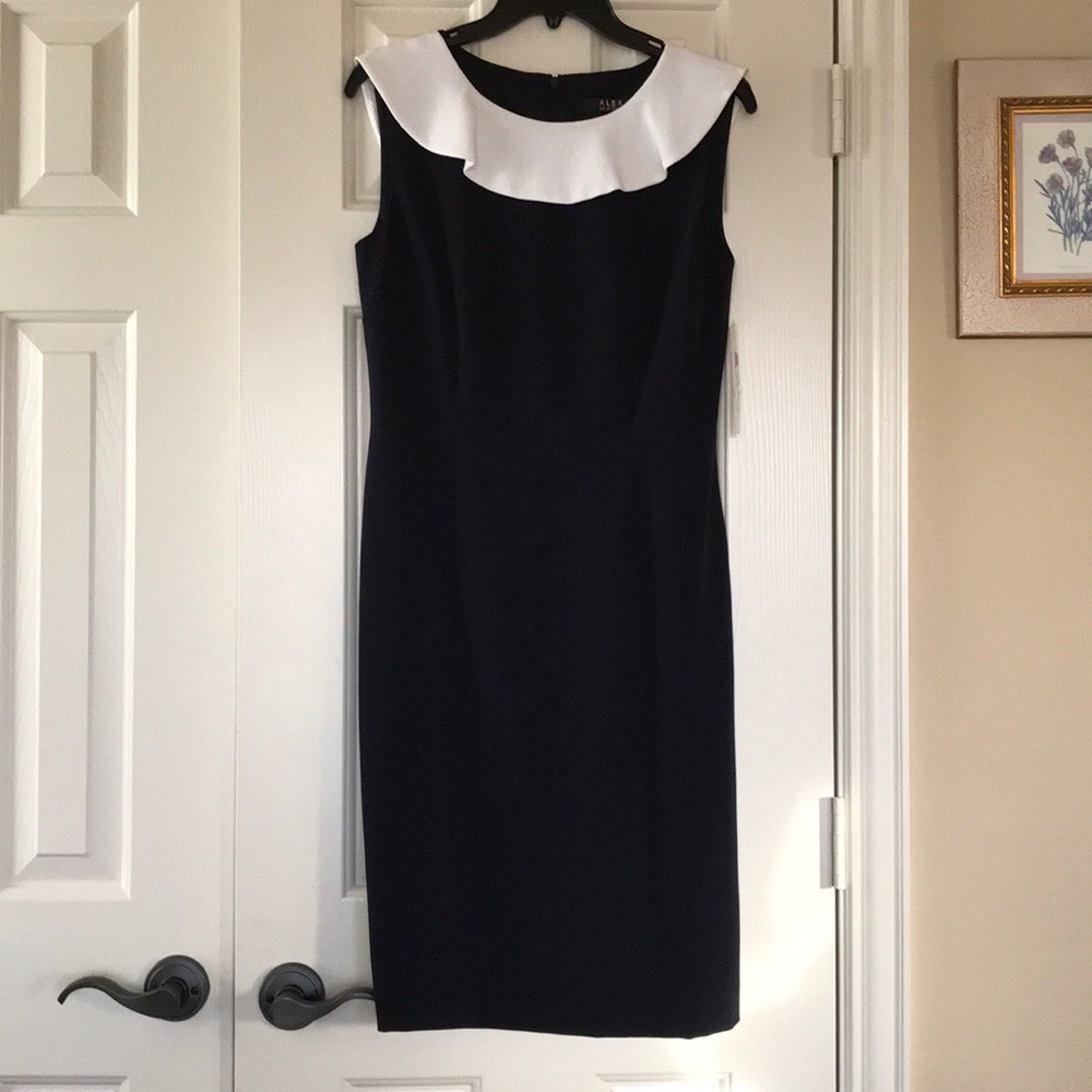 ⬇️Alex Marie Dress:  Size 4